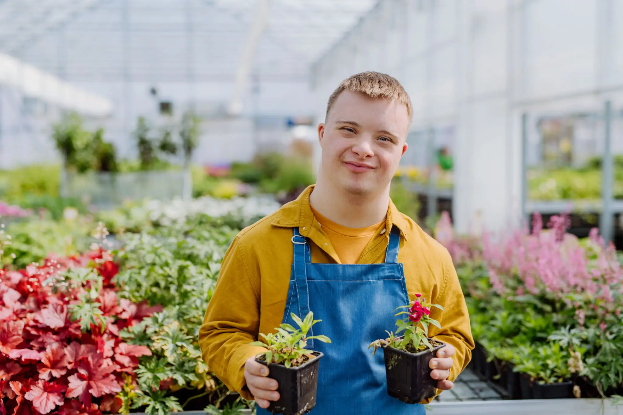 Young man smiling while holding potted plants in a greenhouse.